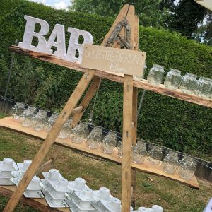 Regal Holzleiter (bestehend aus Leiter und 3 massiven Brettern zum Einlegen)